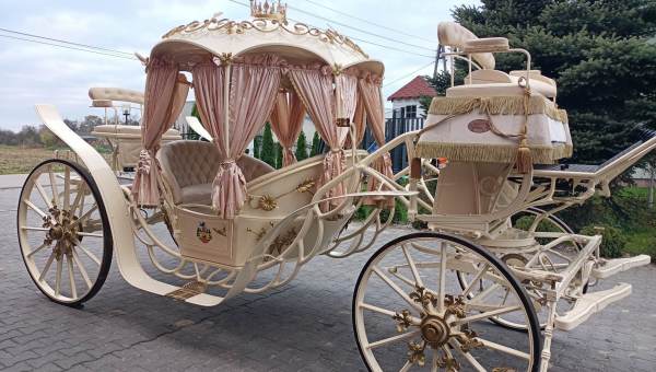 karoca zakupiona przez Jarosława Musiała