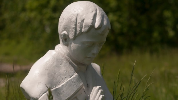 Figura św. Franciszka Marto