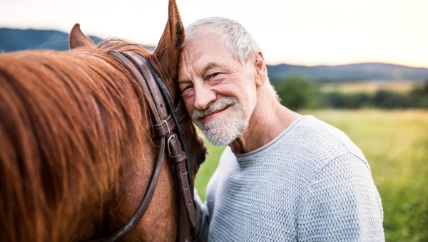 Hodowca w starszym wieku przytula głowę do głowy konia