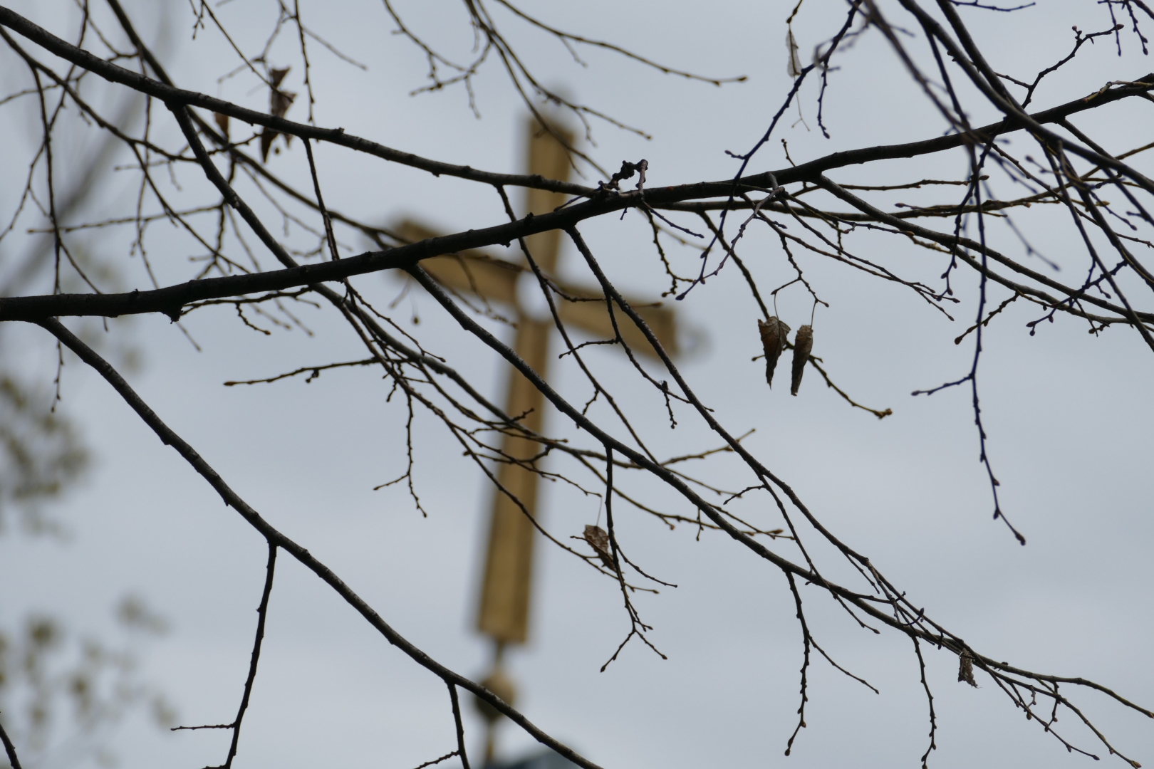 bezlistne gałęzie drzew na pierwszym planie, a w tle rozmyty krzyż kościoła