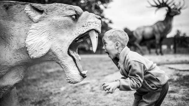 Chłopiec krzyczy do paszczy modelu tygrysa szablastozębnego