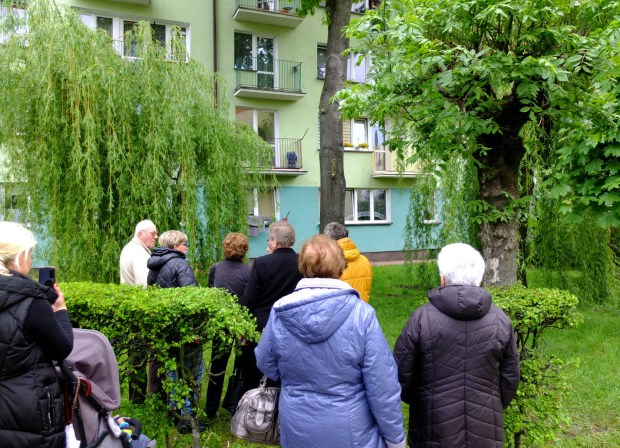 Rzekome objawienie na drzewie w Parczewie