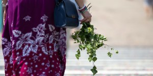 Wiara, nauka, zabobon – brzozowe gałązki na procesji Bożego Ciała