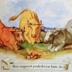 Czy w Głotowie miał miejsce cud eucharystyczny?