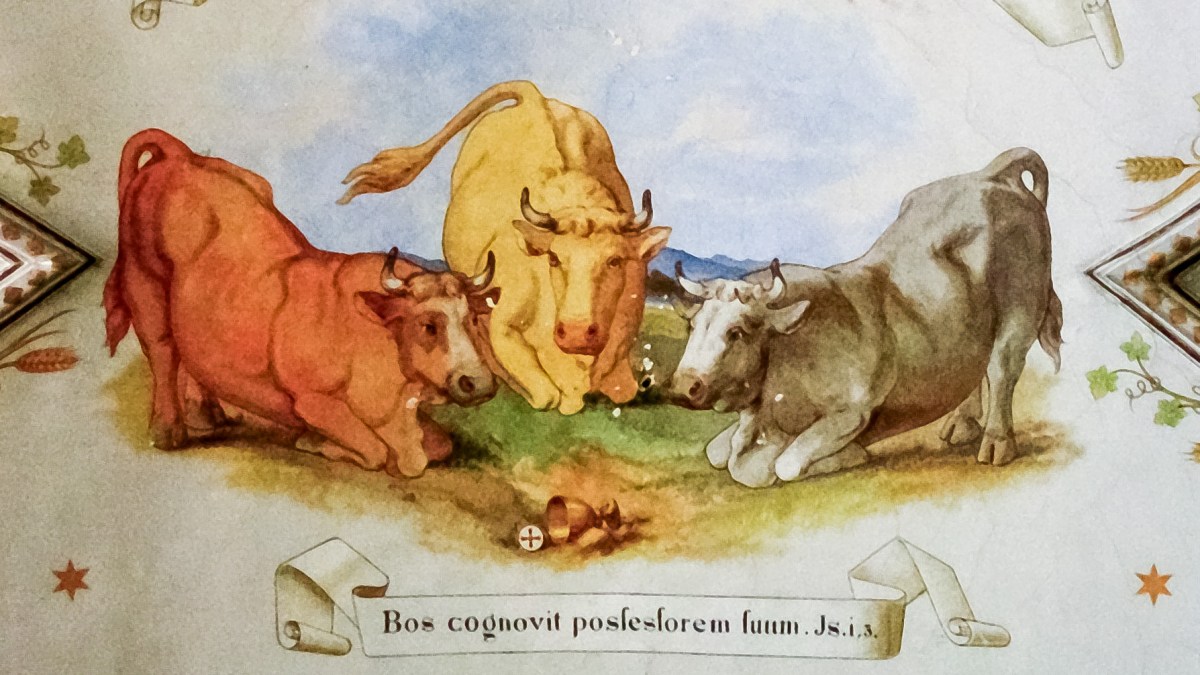 Fresk na sklepieniu kościoła w Głotowie
