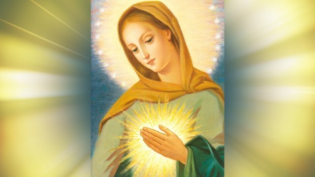 Płomień Miłości Niepokalanego Serca Maryi