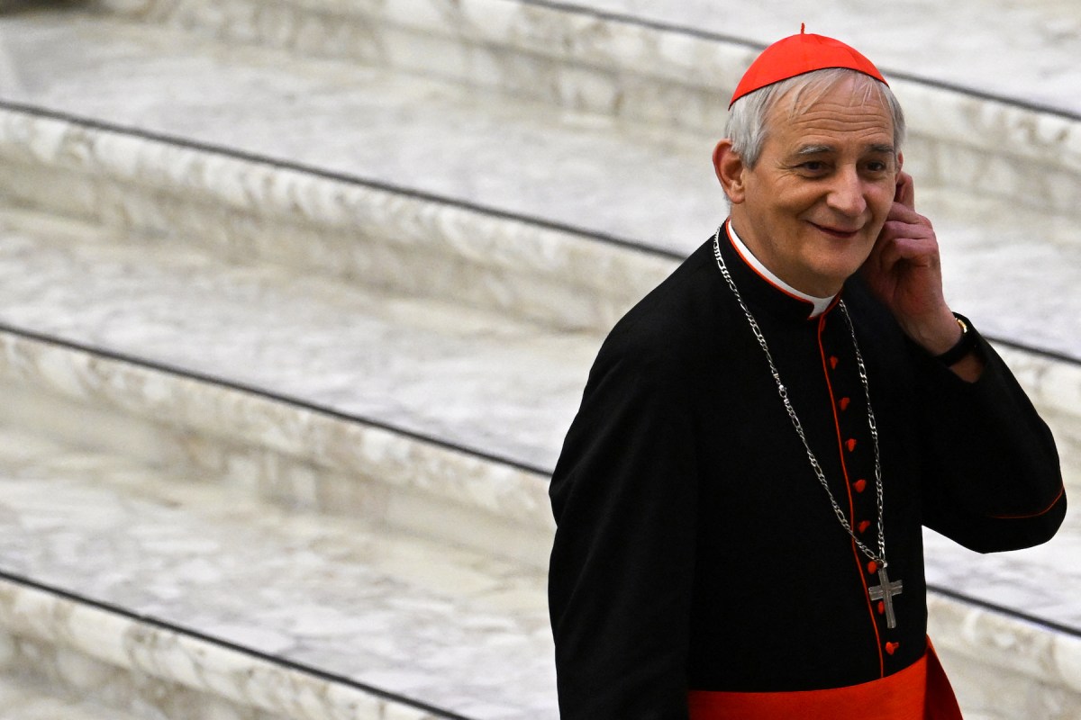Cardinal Zuppi