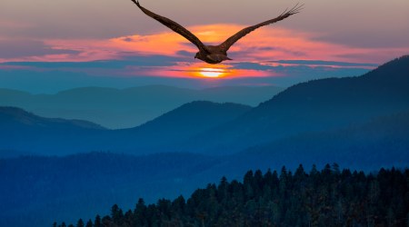 Cytat z Biblii dla ciebie na dziś 
 8 grudnia