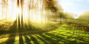 Niech będą dobrej myśli ci zhańbieni namiętnościami, bo…