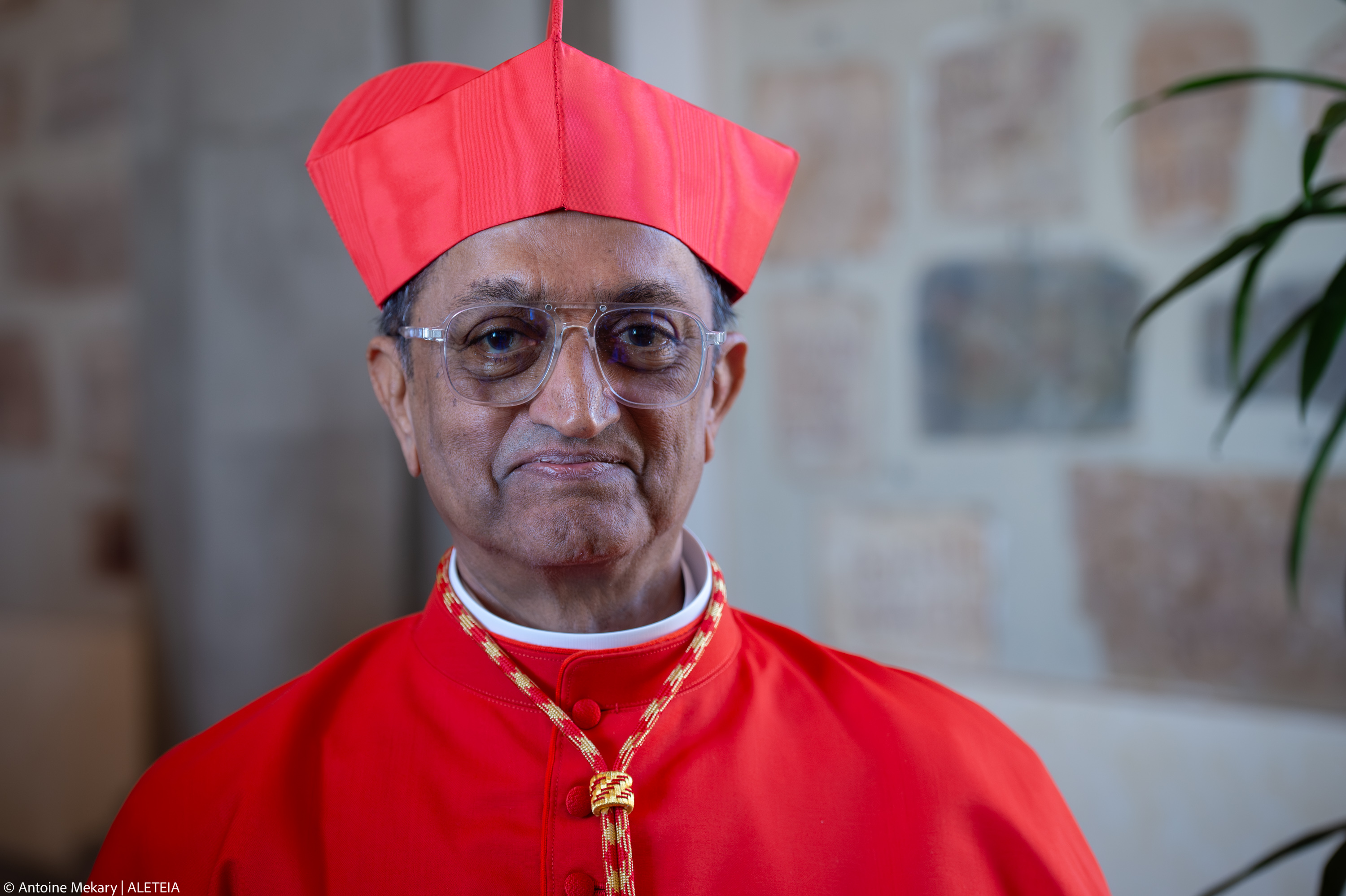 [GALERIA] 21 nowych współpracowników papieża. Sylwetki kardynałów 2/2