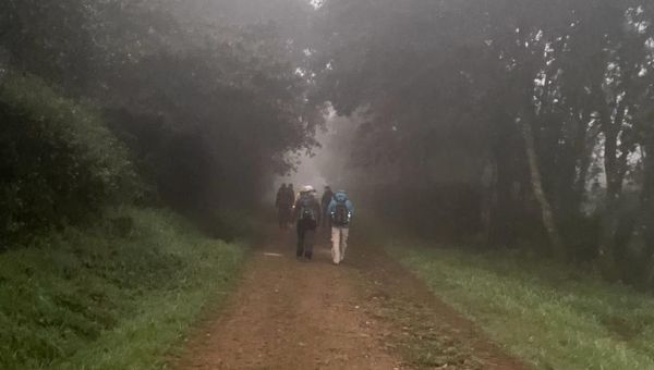 Camino de Santiago