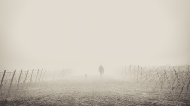 Mężczyzna we mgle wyprowadza psa na spacer