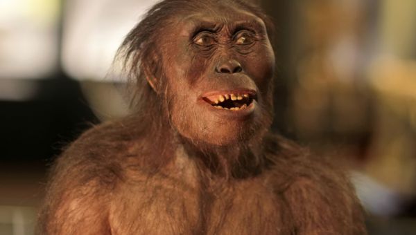 Wszyscy ludzie mają jednego męskiego przodka