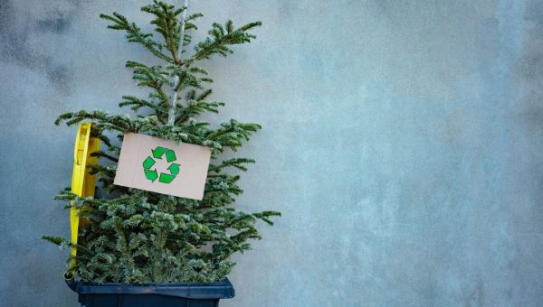 Koniec okresu bożonarodzeniowego. Kiedy kończą się święta?