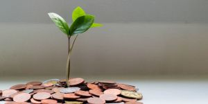Hojność jest sztuką. Wywiad ze Szczepanem Kasińskim, fundraiserem