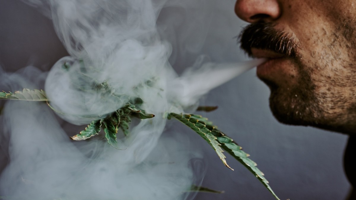 cannabis marijuana weed smoking