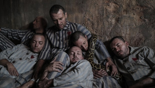 triumph-of-the-heart-movie-film-maximilian-kolbe-