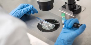 Produkcja ludzi coraz bliżej?