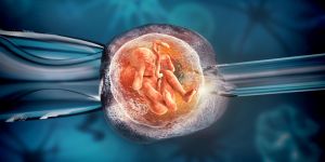 7 powodów, dlaczego in vitro nie jest dobrym rozwiązaniem. Wyjaśnia ginekolog