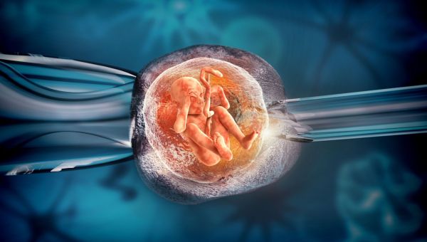 In vitro – dlaczego nie? Ginekolog położnik podaje 7 powodów