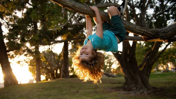 Przytulanie się do drzew ma działanie prozdrowotne