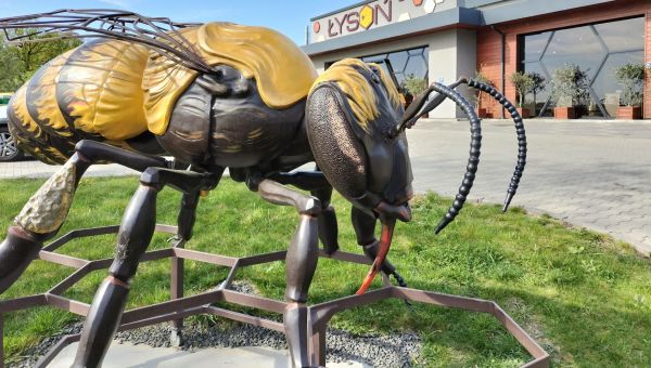 Pszczoły i Muzeum Pszczelarstwa