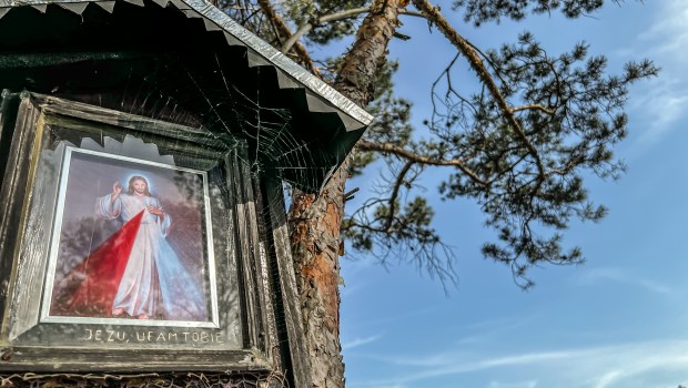 Jezus Miłosierny w kapliczce na drzewie