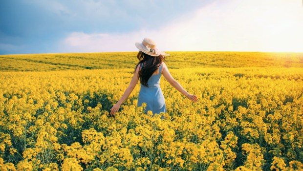 Kobieta w kapeluszu na polu żółtych kwiatów