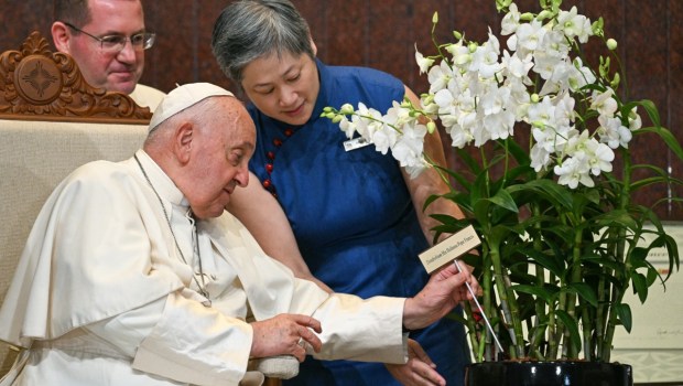 Orchidea nazwana na cześć papieża Franciszka