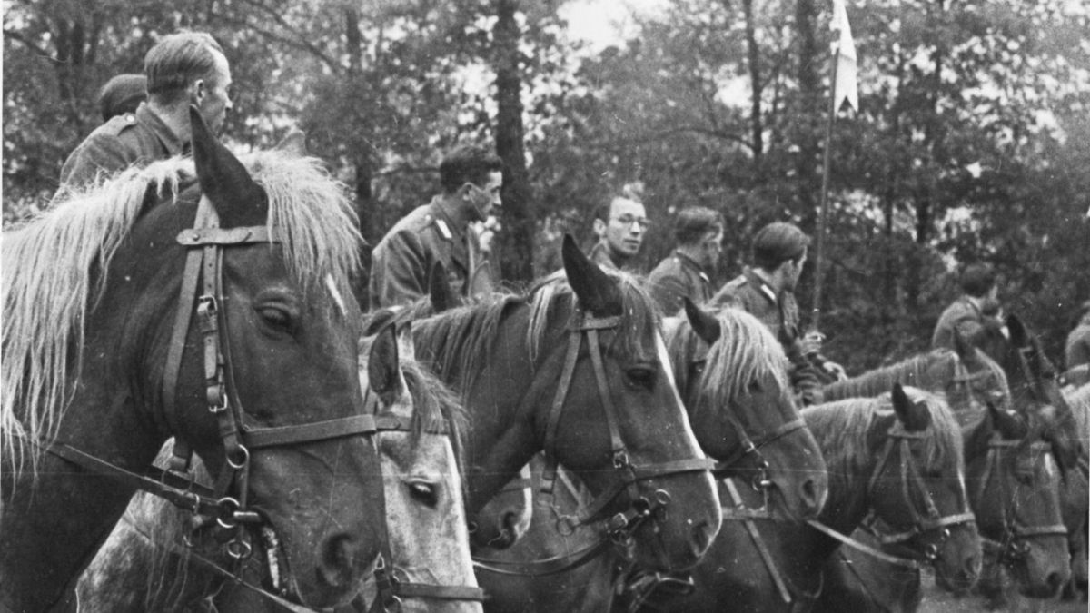 Ułani «Góry» – «Doliny». Kazik ps. «Zamieć» zwrócony ku nam. Fotografia z rodzinnego archiwum Kowalskich.