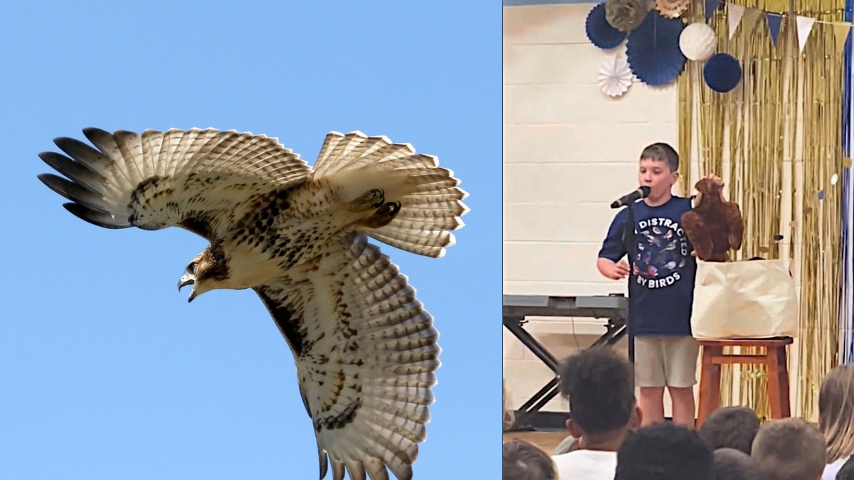 Boy, Samuel, doing bird calls
