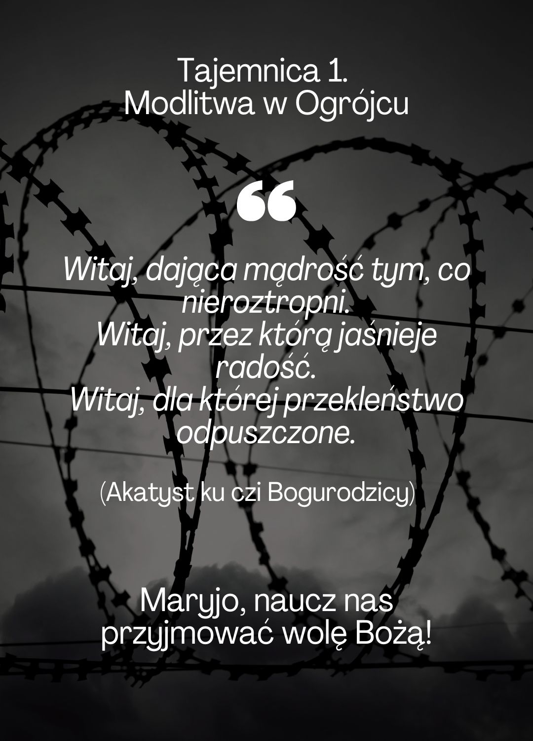 Różaniec z Aleteią 11 października