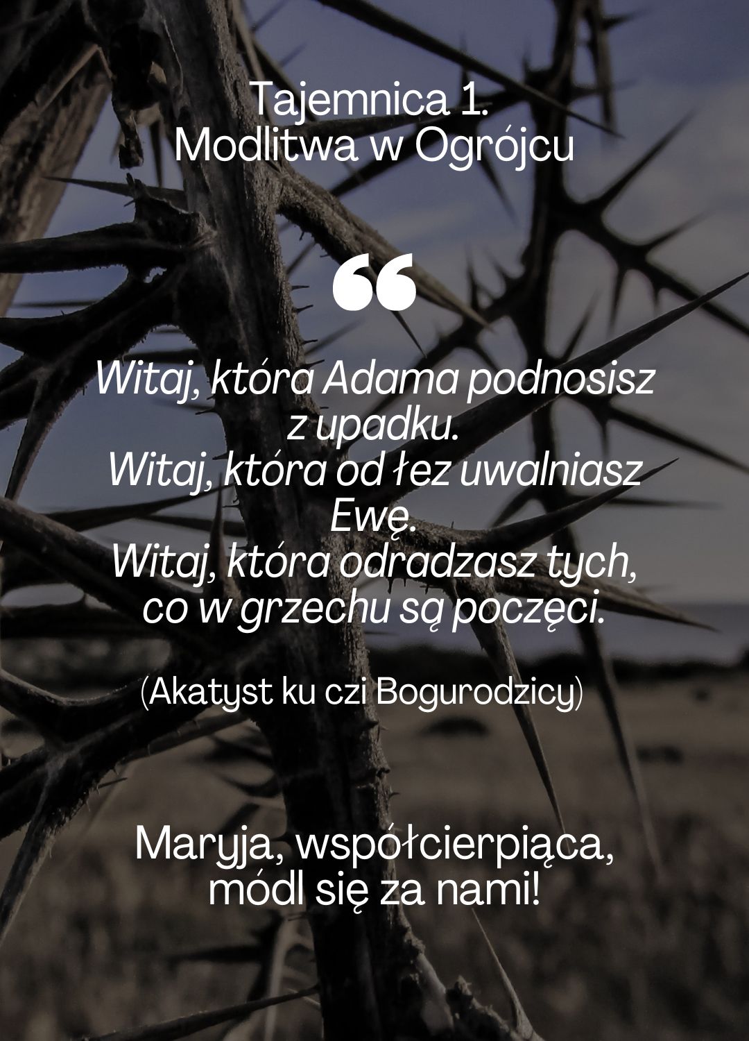 Różaniec z Aleteią 8 października