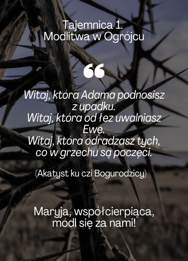 Różaniec z Aleteią 8 października
