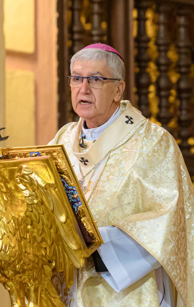 Abp Carlos Gustavo Castillo Mattasoglio