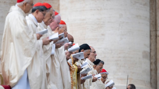 Pope Francis Holy Mass and canonisation