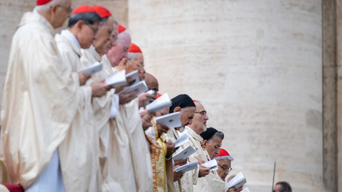 Pope Francis Holy Mass and canonisation
