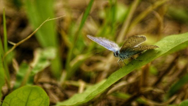 Corner Item Image - Cytat z Biblii dla ciebie na dziś
31 lipca