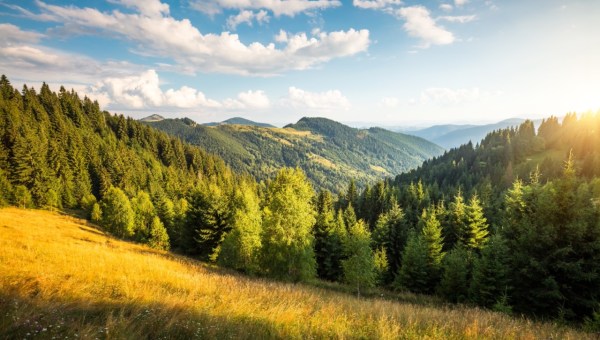 Corner Item Image - Cytat z Biblii dla ciebie na dziś
2 listopada