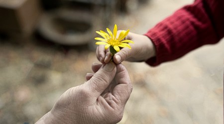 Cytat z Biblii dla ciebie na dziś 
 5 grudnia