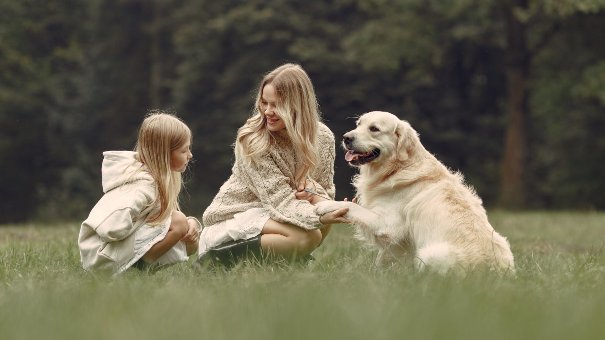 mother-her-daughter-playing-with-dog-family-autumn-park-pet-domestic-animal-lifestyle-concept.jpg