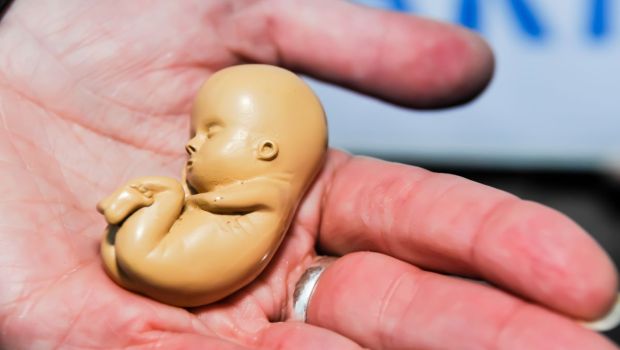 aborto provida