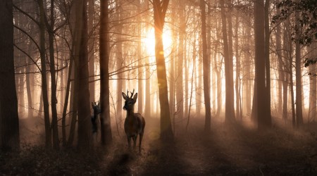 Cytat z Biblii dla ciebie na dziś
7 listopada