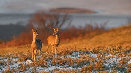 Cytat z Biblii dla ciebie na dziś
18 listopada