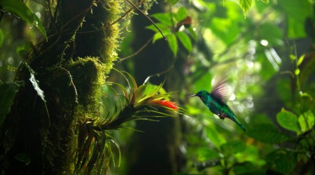 Cytat z Biblii dla ciebie na dziś
8 listopada