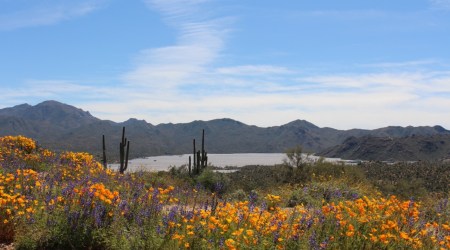 Cytat z Biblii dla ciebie na dziś
10 listopada