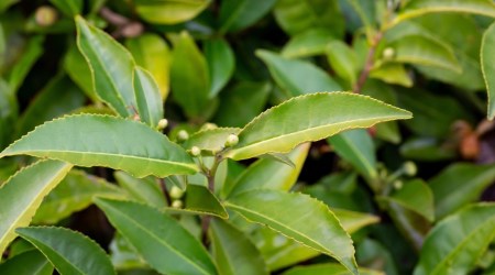 Cytat z Biblii dla ciebie na dziś
12 listopada