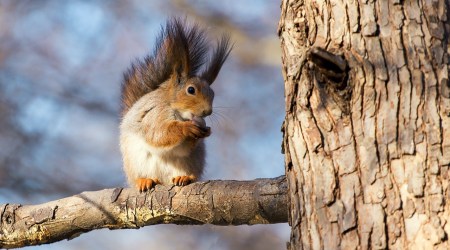Cytat z Biblii dla ciebie na dziś
14 listopada