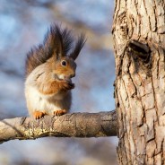 Stickers Item image #0