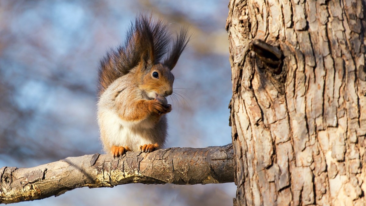 shutterstock_397151542-Duzy.jpeg
